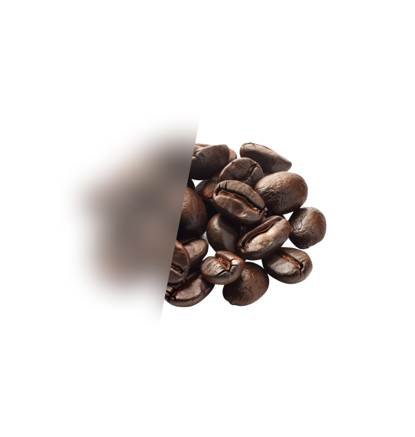 INTERMEZZO BEANS – Segafredo Shop