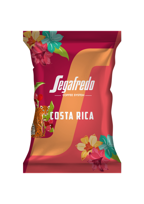 SEGAFREDO LE ORIGINI COSTA RICA 100% ARABICA COMPATIBLE CAPSULES