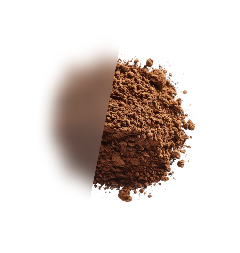 INTERMEZZO GROUND COFFEE – Segafredo Shop