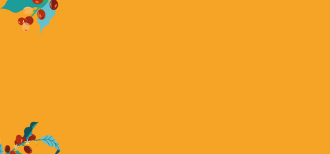 CAPSULE COMPATIBILI SEGAFREDO LE ORIGINI PERÙ 100% ARABICA