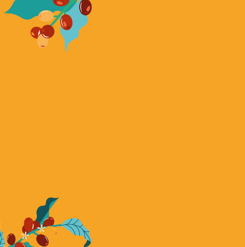 CAPSULE COMPATIBILI SEGAFREDO LE ORIGINI PERÙ 100% ARABICA