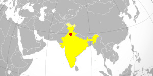 Nuova Delhi - India